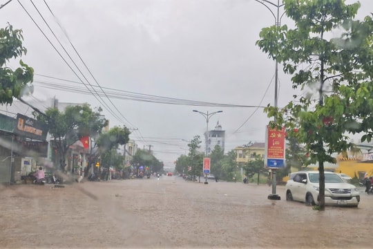 Mưa lớn kéo dài ở Bảo Lộc, cây xanh ngã đổ và nhiều nơi ngập nặng