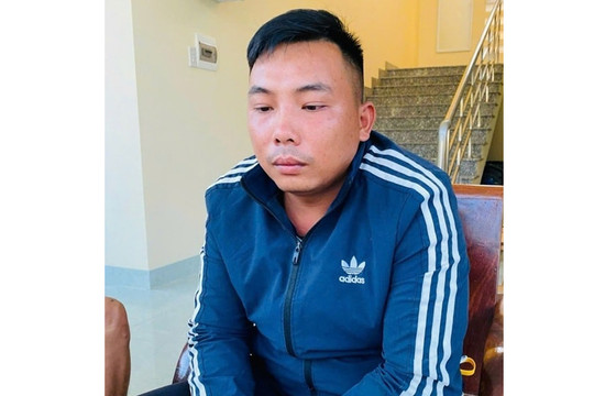 Ngăn chặn trộm cắp, lừa đảo ở các vườn thanh long