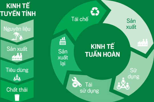 Kinh tế tư nhân hiện thực hóa mô hình phát triển xanh, tuần hoàn và bền vững