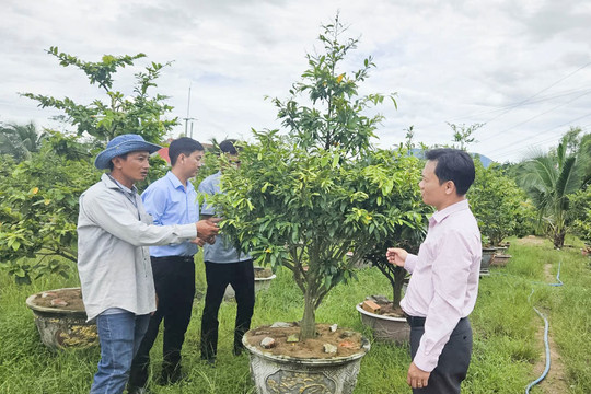Trao cơ hội phát triển kinh tế hộ từ đồng vốn chính sách