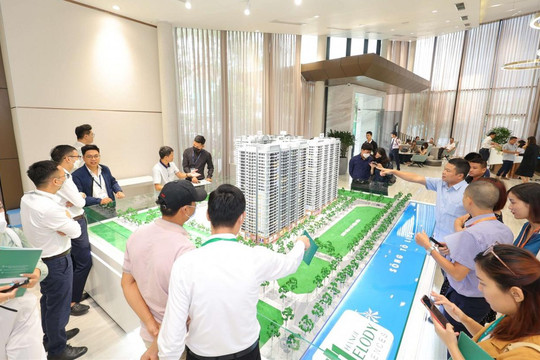 Dự án tăng số căn hộ có phải điều chỉnh chủ trương đầu tư?