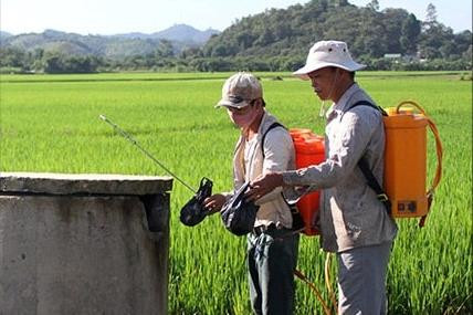 Thu gom rác trong canh tác lúa để bảo vệ sức khỏe, môi trường