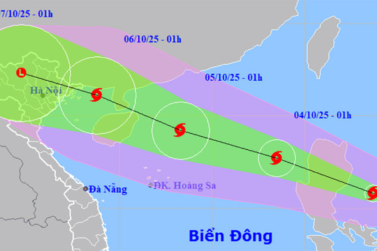 Tin bão Matmo mới nhất: Di chuyển nhanh, mạnh cấp 12 trên Biển Đông