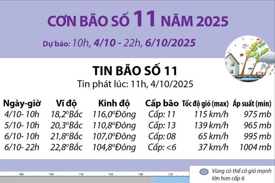 Đường đi của bão số 11 năm 2025