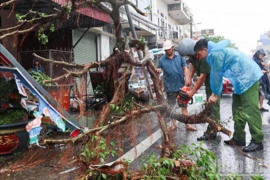 “Bão chồng bão” - hình thái kép của thiên tai