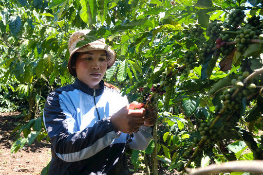 Hợp nhất 3 chương trình mục tiêu quốc gia