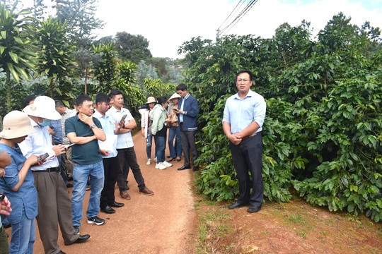 “Chân dung” HTX nông nghiệp điển hình