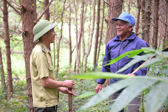 Người Mạ giữ rừng Tà Đùng