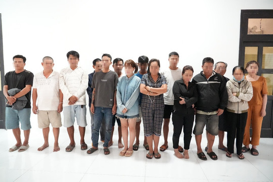 Bắt quả tang tụ điểm đánh bạc trong rừng cao su Tánh Linh