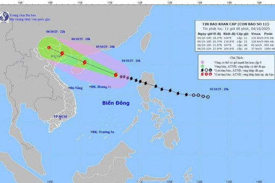 Công điện 72/CĐ-BXD: Tập trung chủ động ứng phó với bão số 11 của Bộ Xây dựng