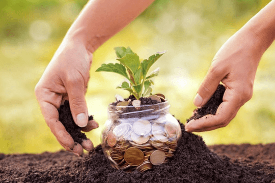 Công văn 4225: Cục Thuế trả lời vướng mắc về việc triển khai thực hiện Nghị định 230/2025/NĐ-CP