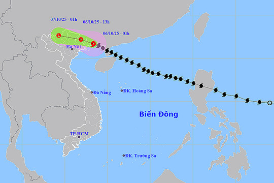 Bão số 11 tiến vào biên giới Việt - Trung, Bắc Bộ mưa lớn
