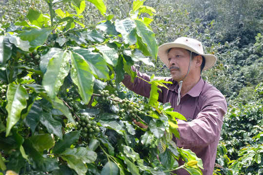 Tinh thần đoàn kết của người Hoa ở Xuân Trường - Đà Lạt