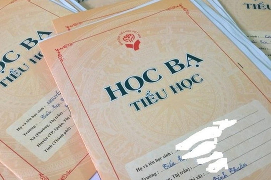 Dự kiến bỏ hồ sơ học bạ khi chuyển trường cho học sinh tiểu học