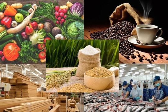 Văn bản hợp nhất Thông tư chứng nhận an toàn thực phẩm cơ sở sản xuất nông lâm thủy sản 2025