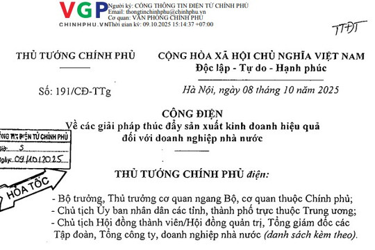 Công điện 191/CĐ-TTg: Các giải pháp thúc đẩy sản xuất kinh doanh hiệu quả đối với doanh nghiệp nhà nước