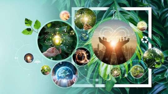Tiêu chí xét chọn Doanh nghiệp Xanh Thành phố Hồ Chí Minh