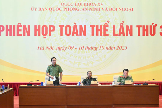 Thẩm tra dự án Luật sửa đổi, bổ sung một số điều của 10 luật có liên quan đến an ninh, trật tự
