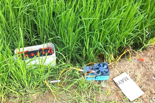 Hiểm họa khôn lường khi dùng điện bẫy chuột