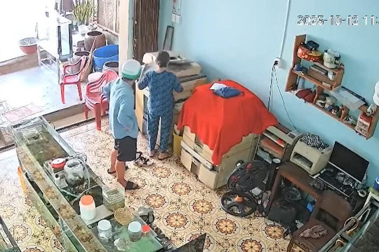 Bắt nhanh đối tượng cướp giật ở Đức Linh