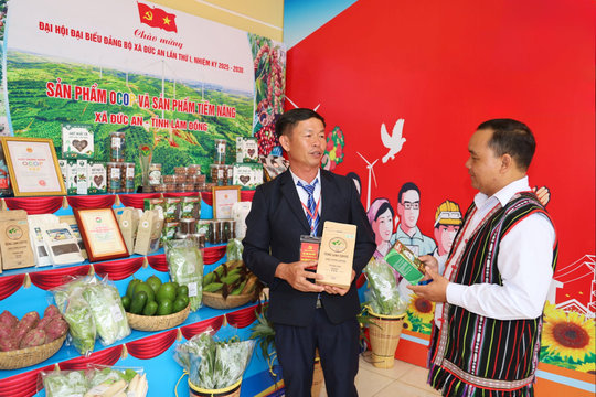 Ðưa nông sản đi xa, nâng tầm giá trị địa phương