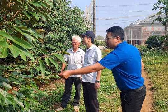 Khi người dân đồng tình giải phóng mặt bằng vì lợi ích của dự án