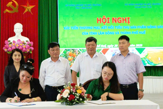 OCOP Lâm Đồng - Huế, lan tỏa giá trị thương hiệu
