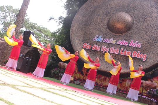 Để “siêu quần thể” đạt đẳng cấp quốc tế