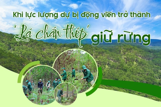Khi lực lượng dự bị động viên trở thành “lá chắn thép” giữ rừng