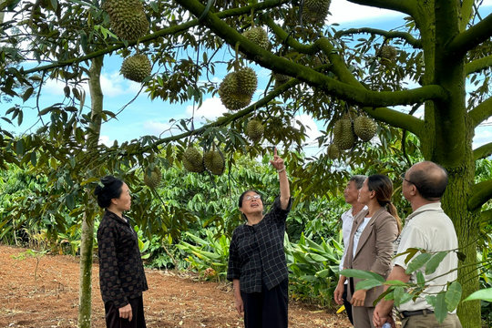 Những bông hoa tỏa sáng giữa đại ngàn
