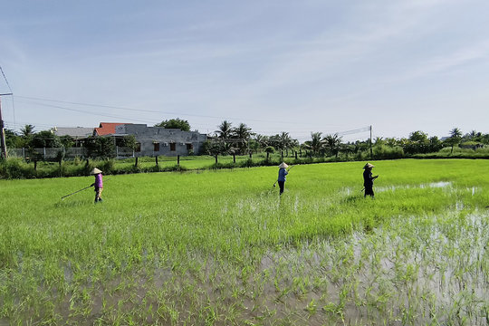 Bất cập trong quản lý, sử dụng đất 5%