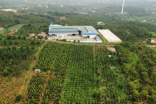 Yêu cầu tuyên truyền chuyên sâu về nông thôn mới