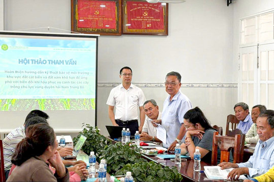 Hiệu quả bước đầu của mô hình bảo vệ đất cát biển và đất xám khô hạn tại Lâm Đồng