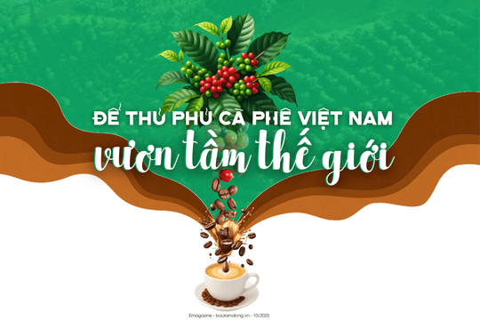 Để thủ phủ cà phê Việt Nam vươn tầm thế giới