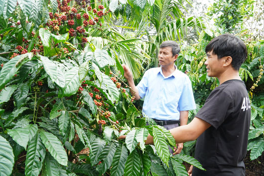 Nâm Nung đổi thay từ sức dân và ý Ðảng