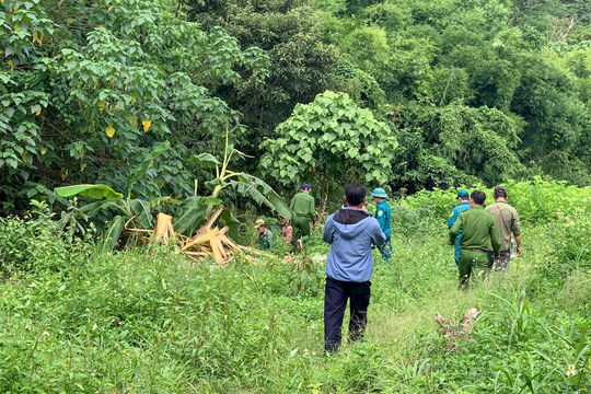 Phát hiện thi thể người đàn ông tại bìa rừng