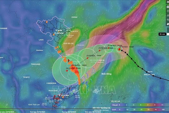 Thủ tướng Chính phủ yêu cầu chủ động ứng phó với bão số 12 và mưa lũ