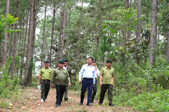 Lâm Đồng tăng cường phòng cháy, chữa cháy rừng mùa khô