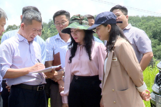 Sớm hiện thực hóa các trường phổ thông liên cấp khu vực biên giới Lâm Đồng