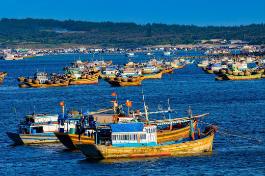 Cương quyết “tuyên chiến” với hành vi vi phạm khai thác IUU