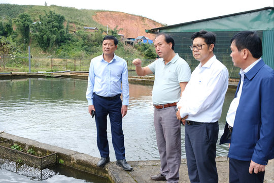 Phó Chủ tịch UBND tỉnh Lâm Đồng Lê Trọng Yên khảo sát mô hình nuôi cá nước lạnh tại Đam Rông