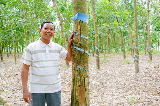 Bí thư Chi bộ buôn Con Ó luôn đi đầu để dân tin, dân theo