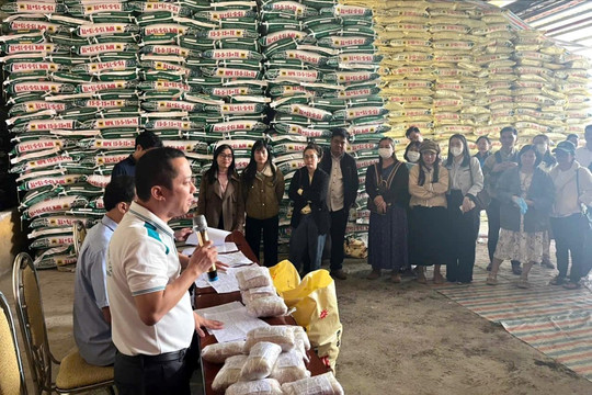 Nâng cao hiệu quả quản lý vật tư nông nghiệp