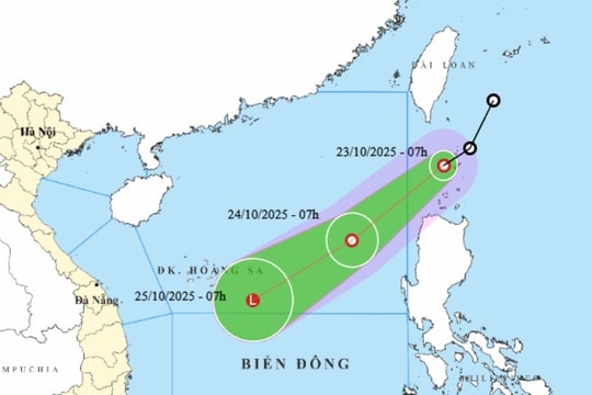 Tin áp thấp nhiệt đới, cảnh báo mưa lớn, ngập lụt, lũ quét, sạt lở đất và các chỉ đạo ứng phó
