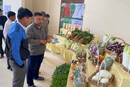 Phát triển hệ thống GIS phục vụ chuyển đổi số