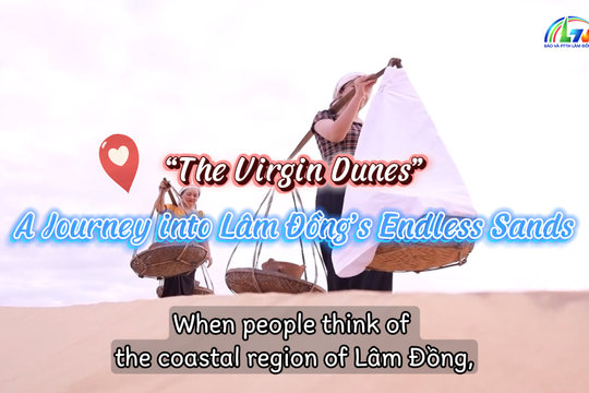 The White Sand Dunes of Hoa Thang – The Virgin Beauty of Lam Dong’s Coast