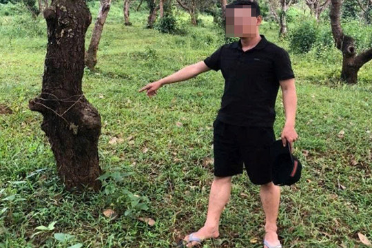 Công an xã Quảng Tân bắt nhanh đối tượng trộm bò chỉ sau vài giờ gây án