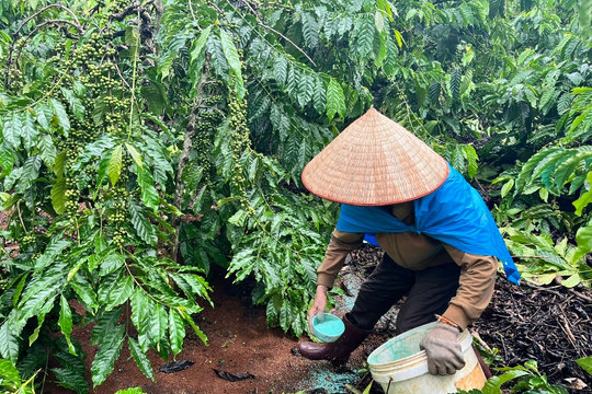Protecting the Environment through a Sustainable Coffee Value Chain