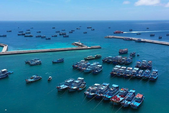 Phu Quy Special Zone – A Bright Spot in Combating IUU Fishing
