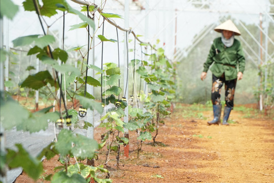 Water-Smart Irrigation: A Strategic Solution for Climate-Resilient Agriculture